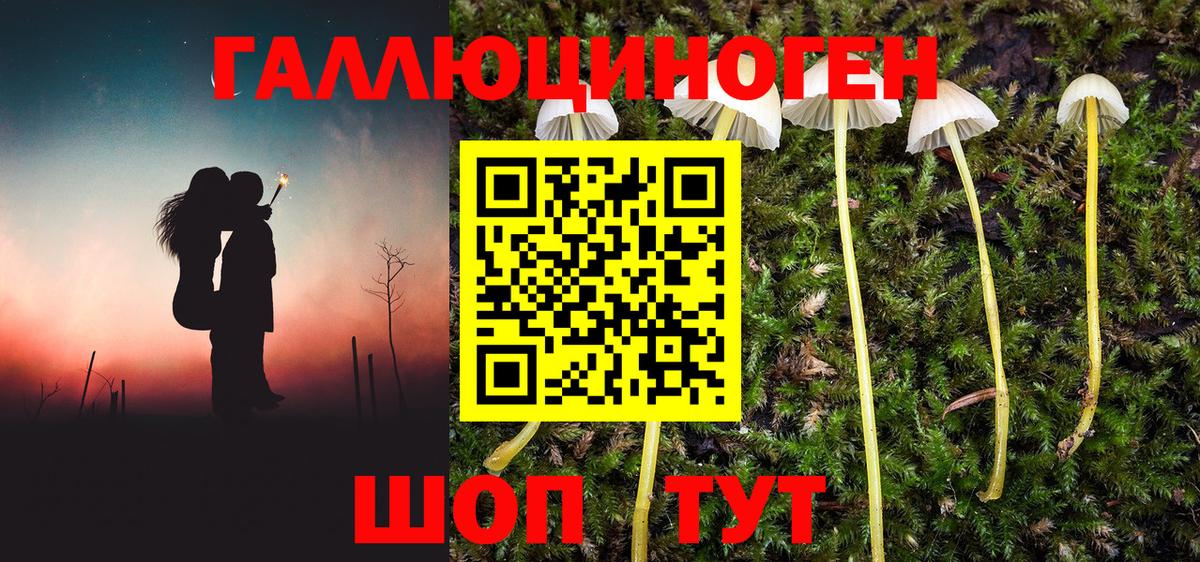 Галлюциногенные грибы Magic Shrooms Волжск